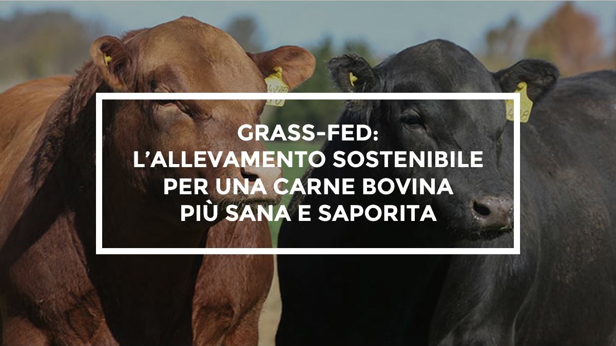 Carni bovine allevamento grass-fed