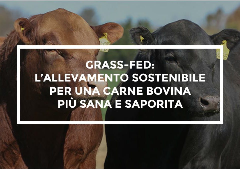 Carni bovine allevamento grass-fed